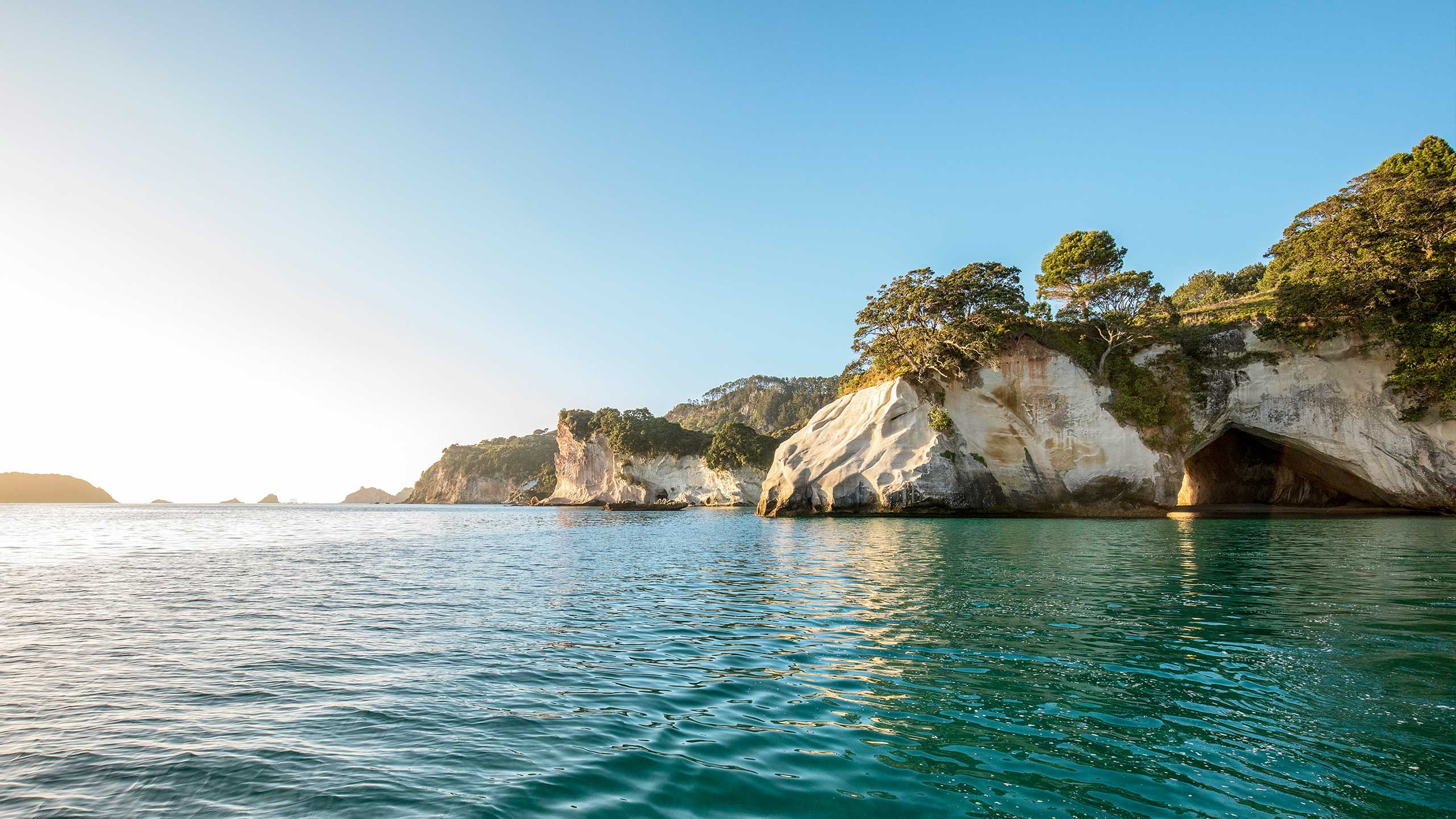 The Coromandel