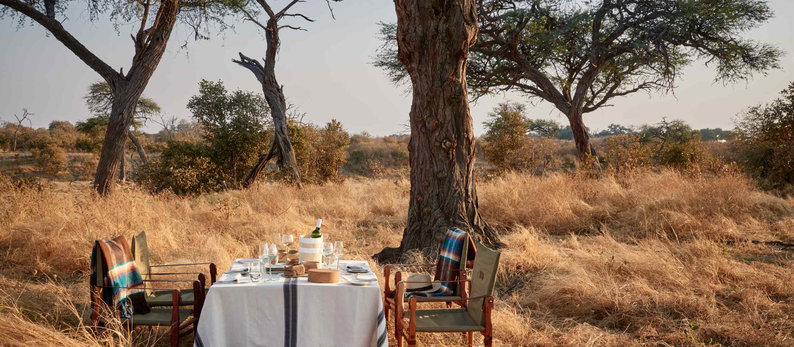 Africa