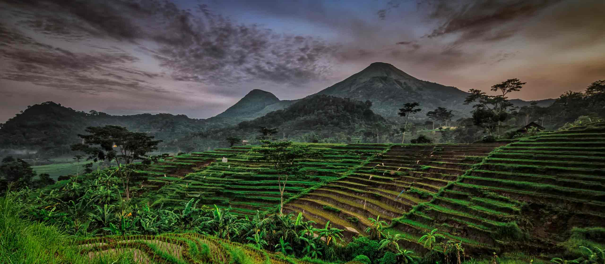 Indonesia