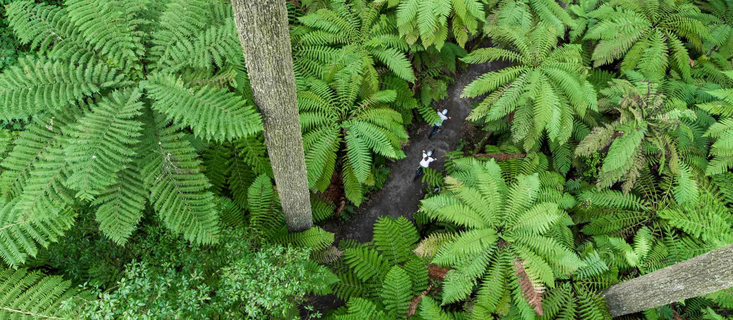 North Island