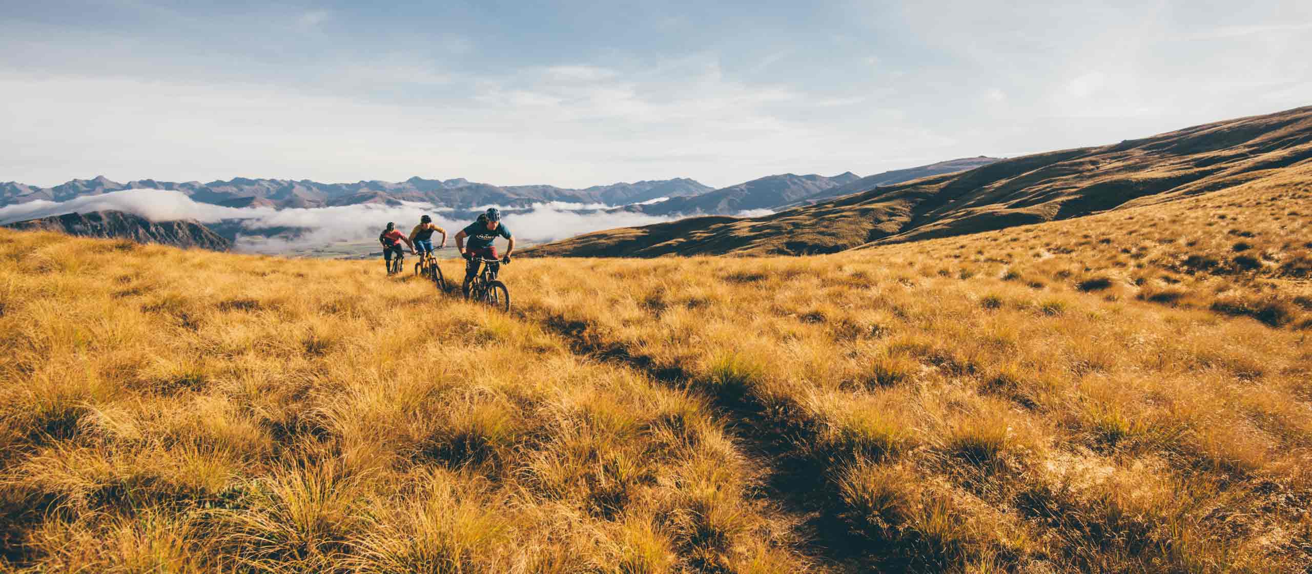 South Island