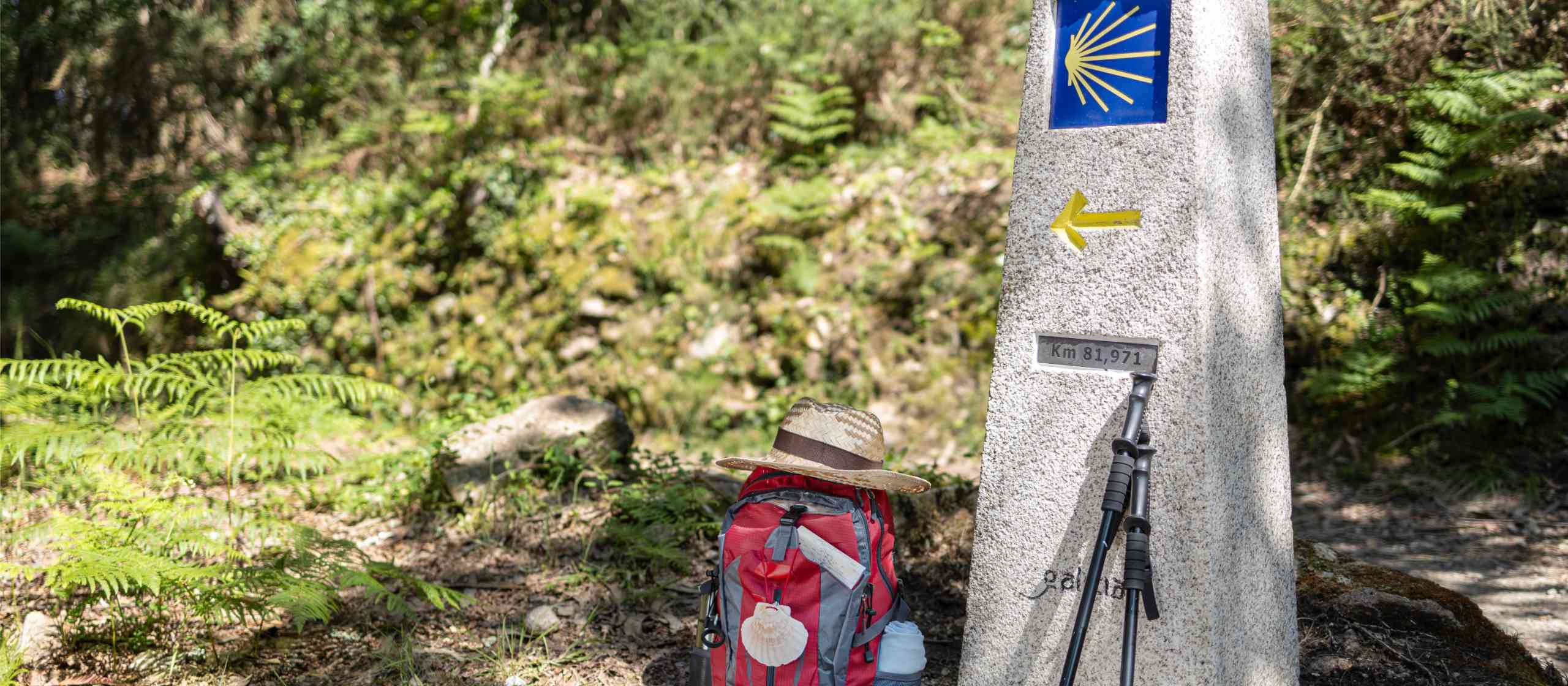 Camino de Santiago Accommodation Camino de Santiago Accommodation