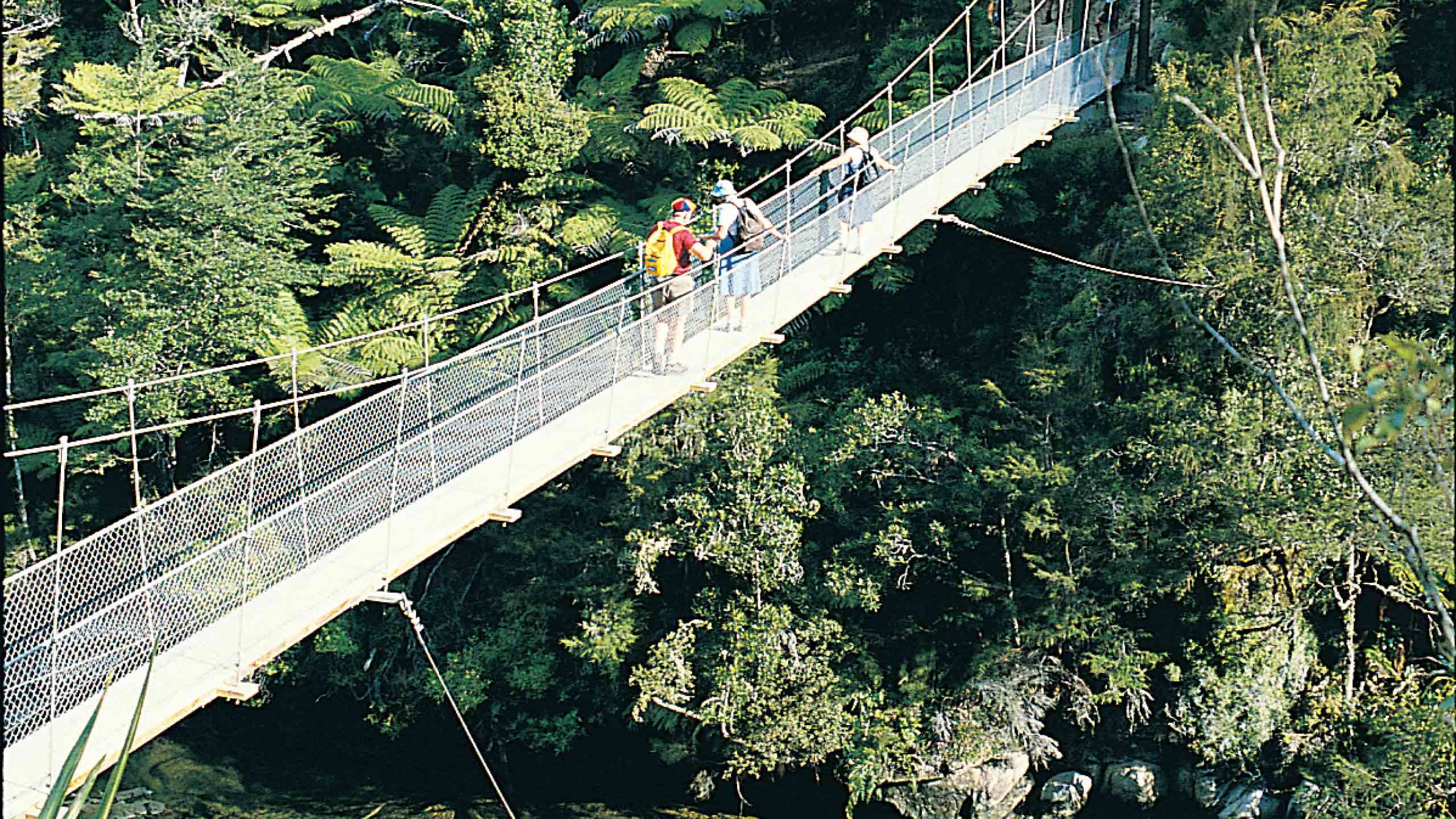 Abel Tasman Coast Track Walk in Comfort 3D2N, Fully Guided