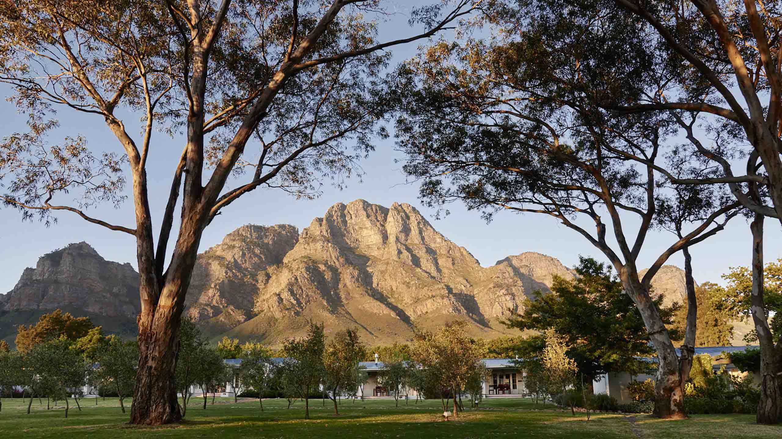 Boschendal Wine Farm