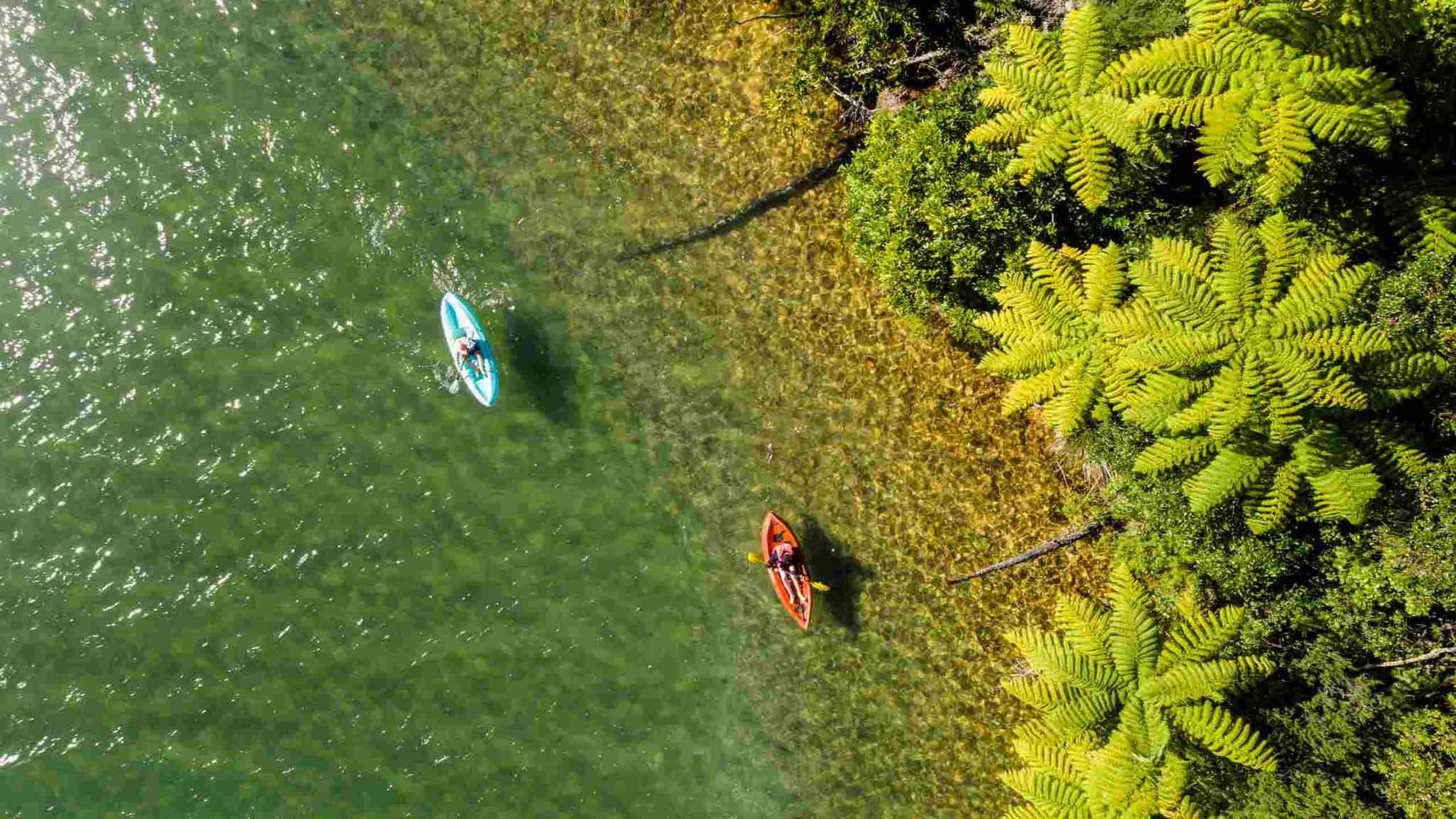 Queen Charlotte Track Lodge to Lodge Walk & Kayak 4D3N, Guided & Small Group