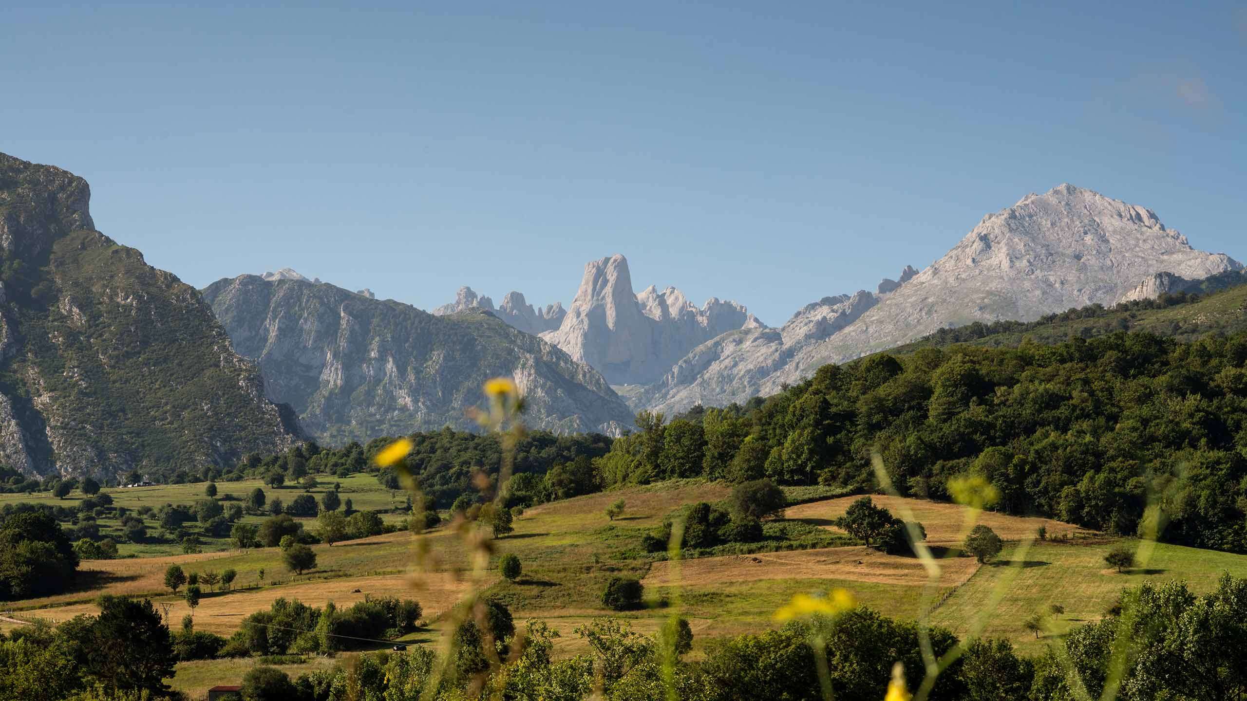 Deluxe Spain's Camino del Norte Walk 6D5N (Camino de Santiago via the Basque Coast & Picos de Europa), Fully Guided