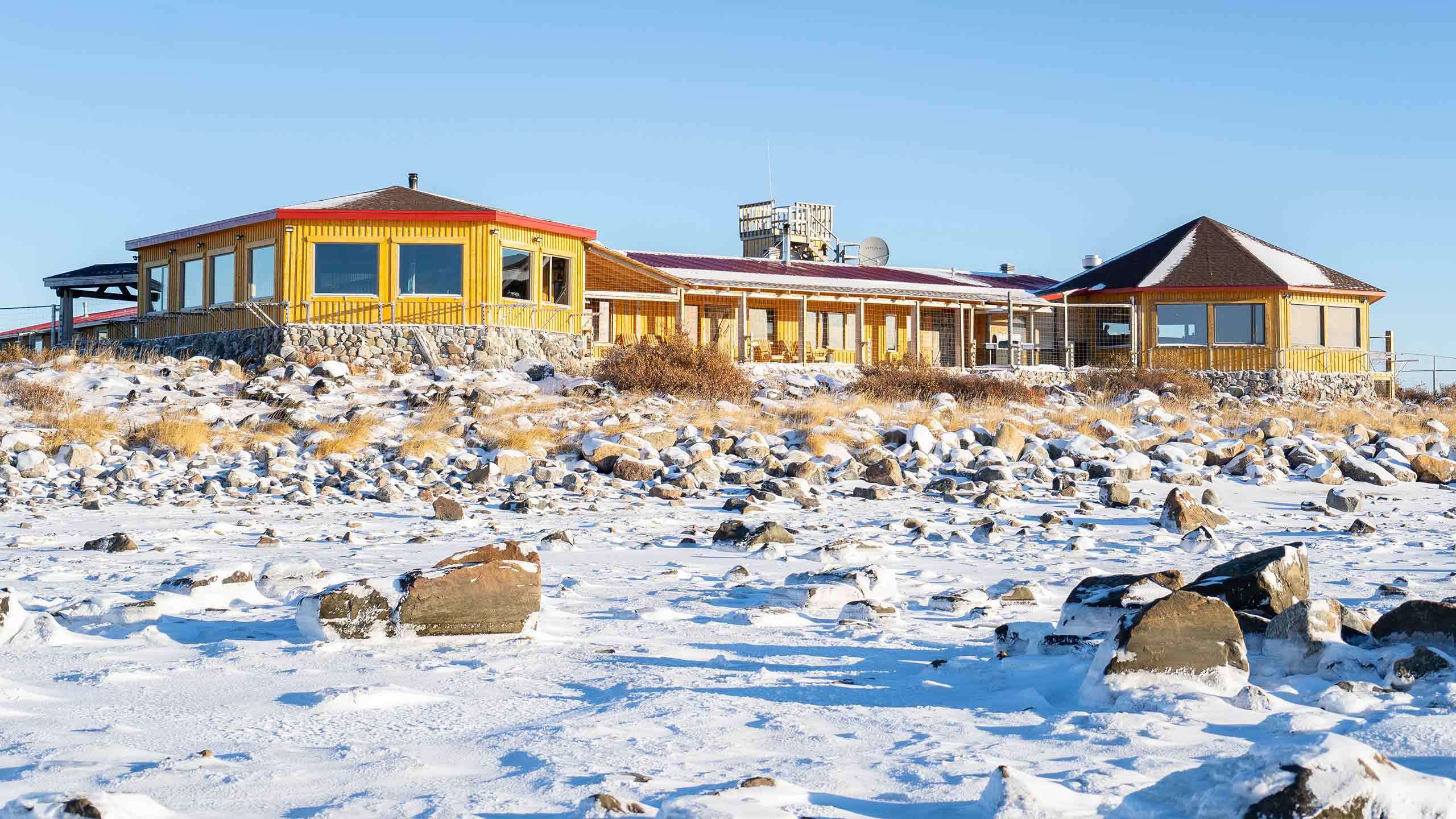 Polar Bear Photo Walking Safari 7D6N + Seal River Heritage Lodge