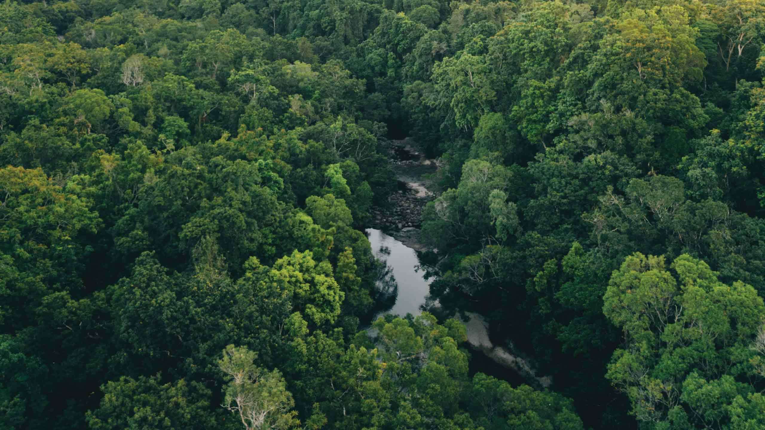 Ultimate Luxury Silky Oaks Lodge Reef & Rainforest 4D3N