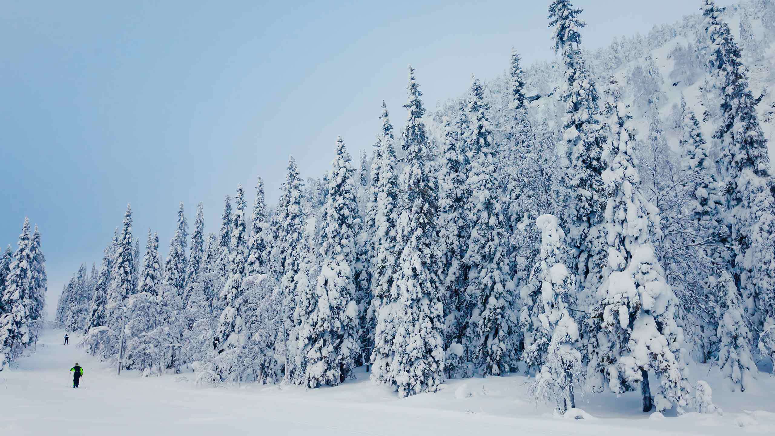 Finnish Wilderness Week (Snowshoe Hike, Cross-country skiing & More) 8D7N, Guided