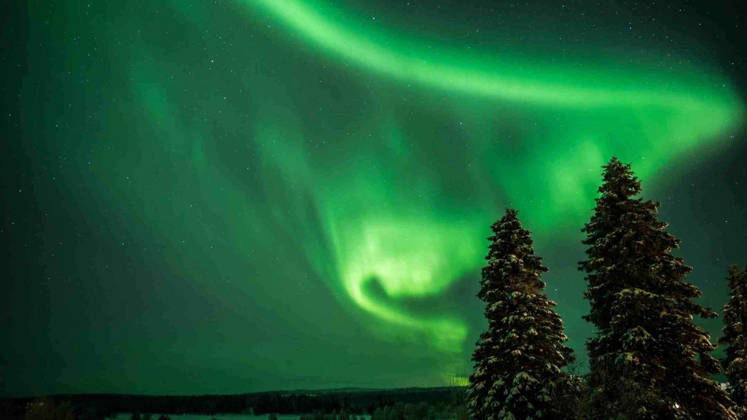 Lapland in Winter: Sweden’s Arctic Circle Aurora Winter Adventure 8D7N, Fully Guided