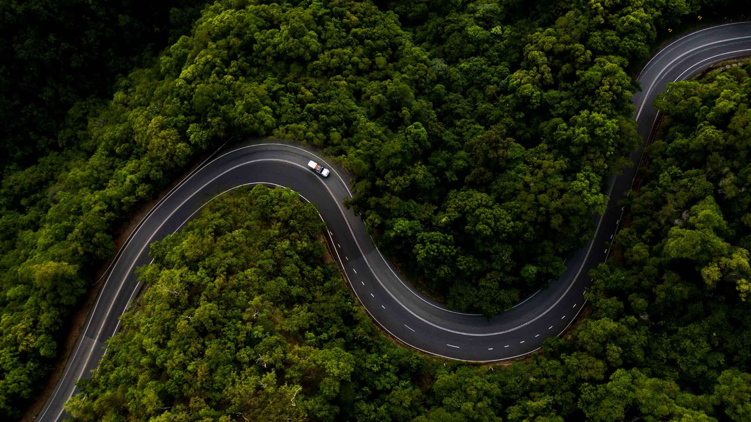 Luxury Tropical Escape (Palm Cove, Low Isles, Daintree & Cape Tribulation) 6D5N + The Reef House