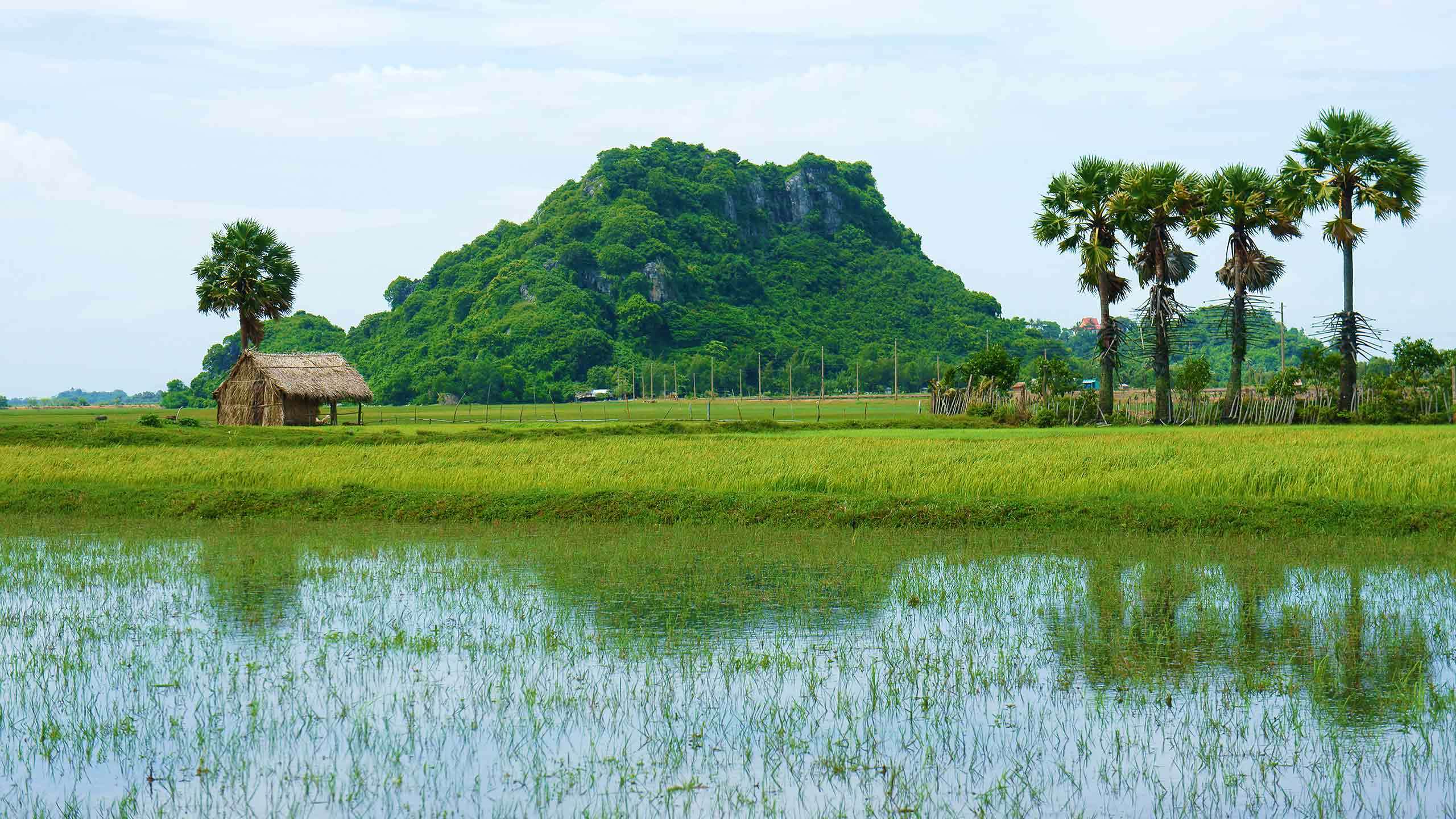 Vietnam Bike & Kayak 8D7N (The Mekong Delta, Hue, Hai Van Pass & Hoi An), Fully Guided
