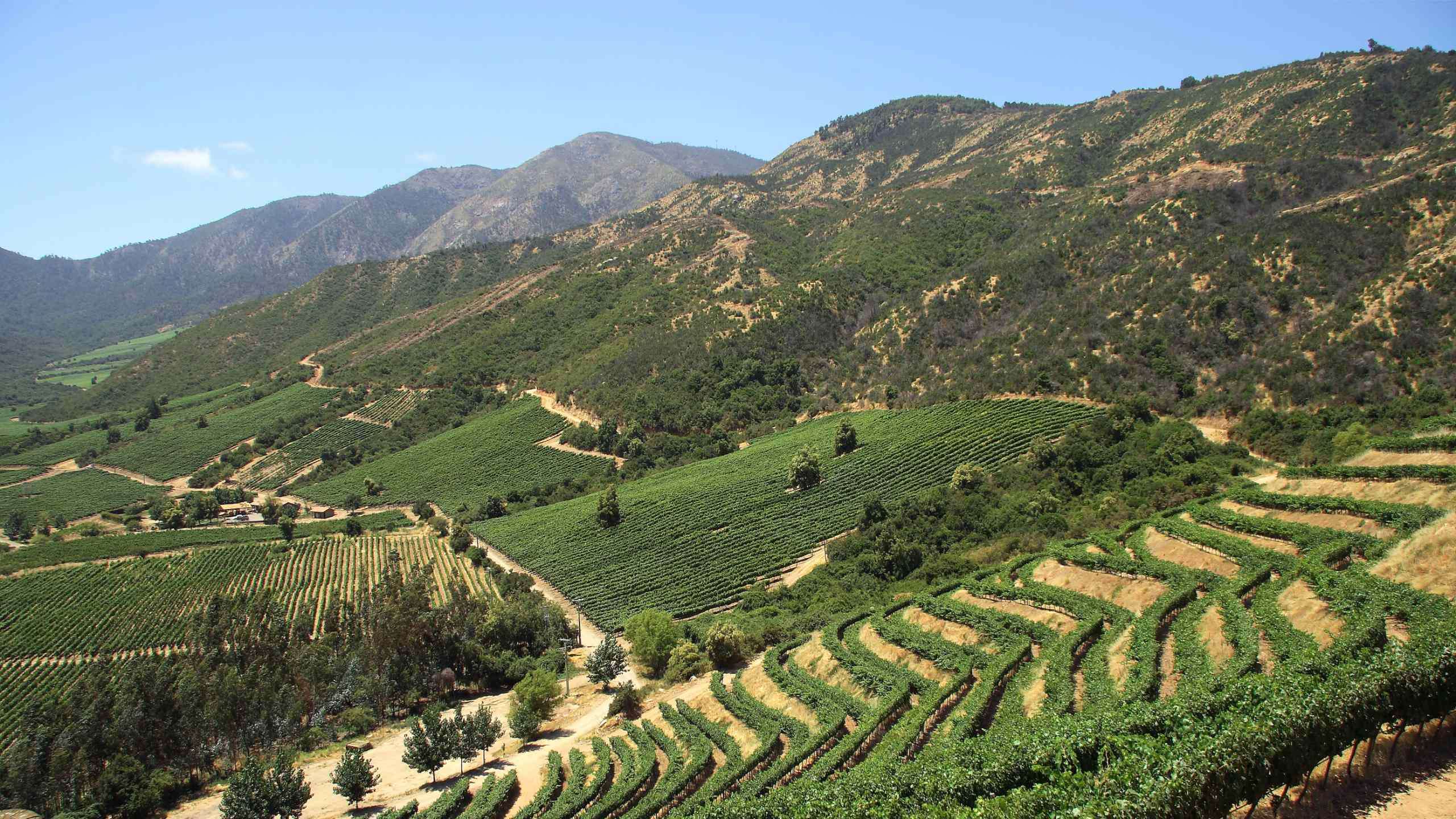 Luxury Chile Cycling (The Andes, Wineries & Coast) 7D6N, Private Tour