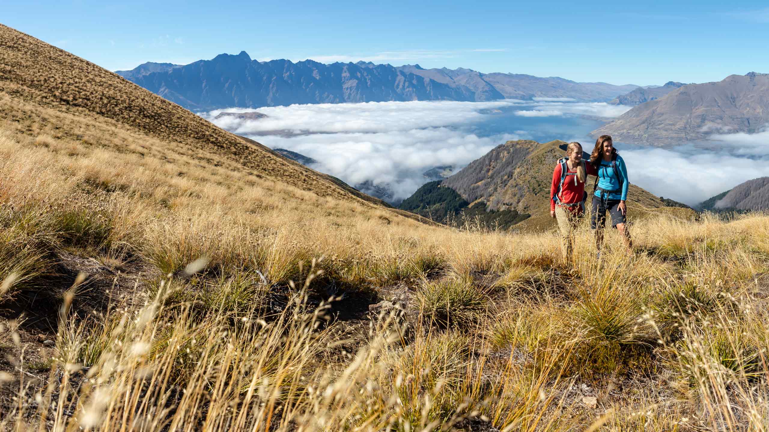 Ben Lomond FAQs