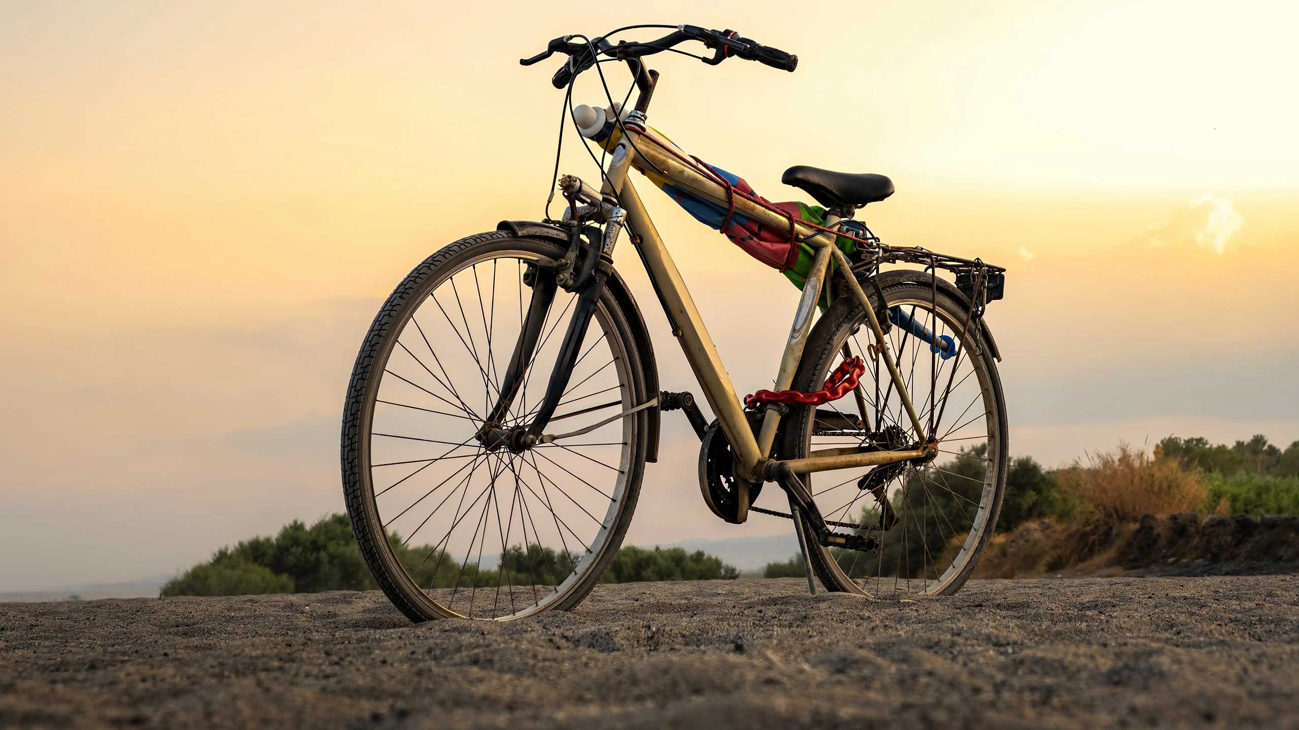 bike-shutterstock2405575153