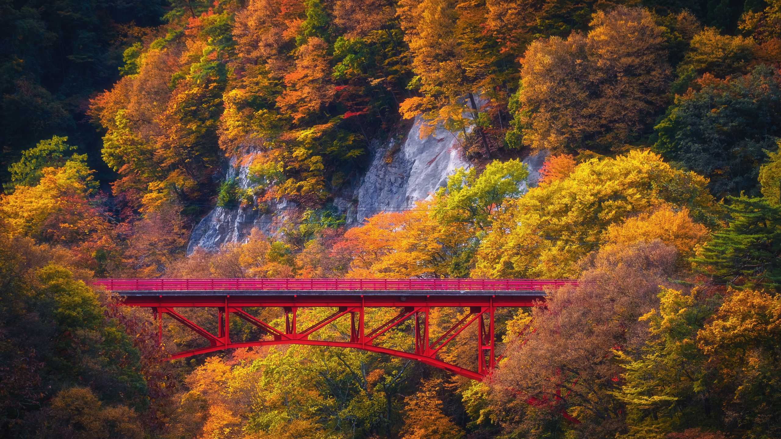 Best Time To Visit Japan