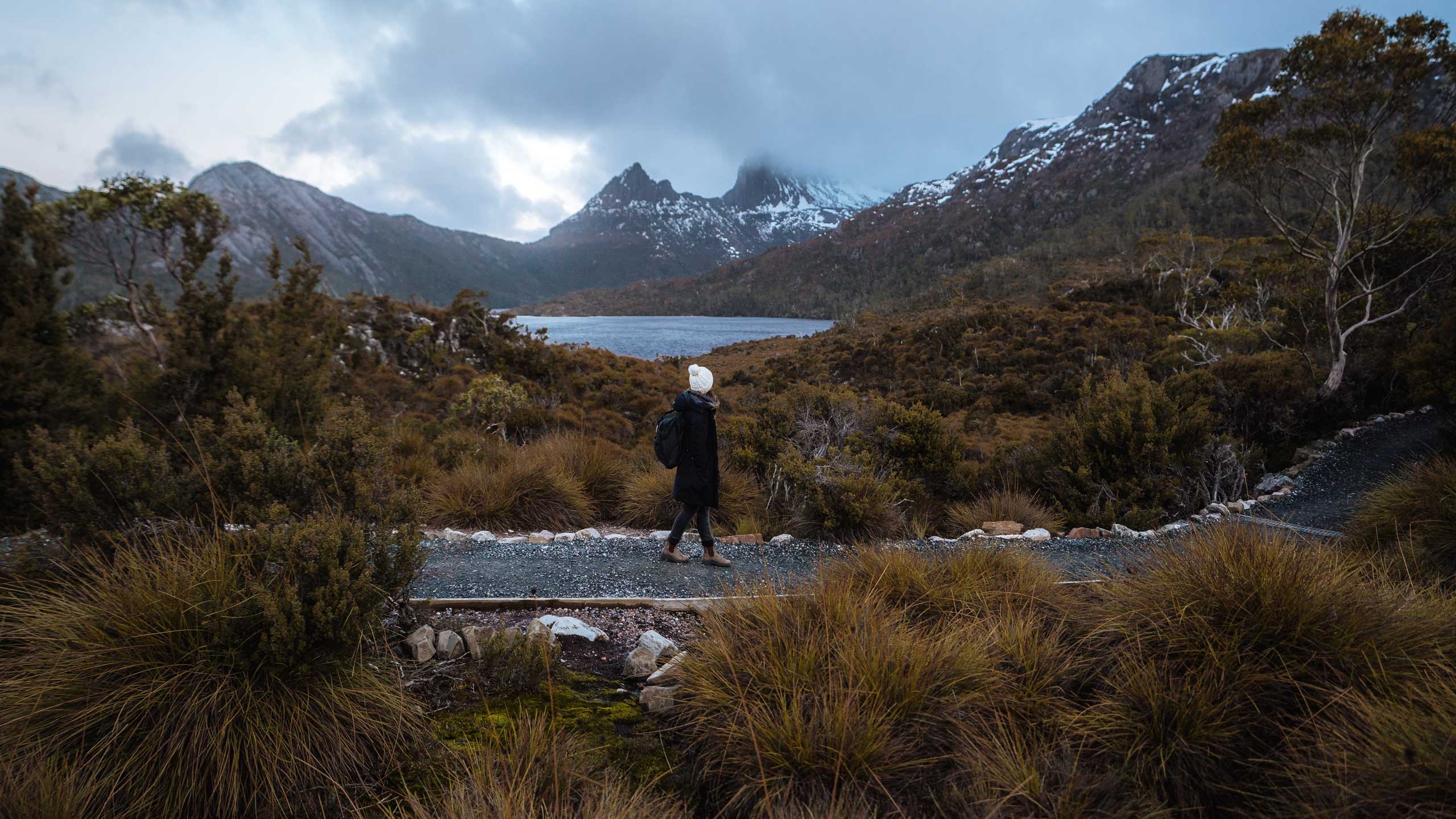 tasmania-australia-walking-lake-dove-circuit