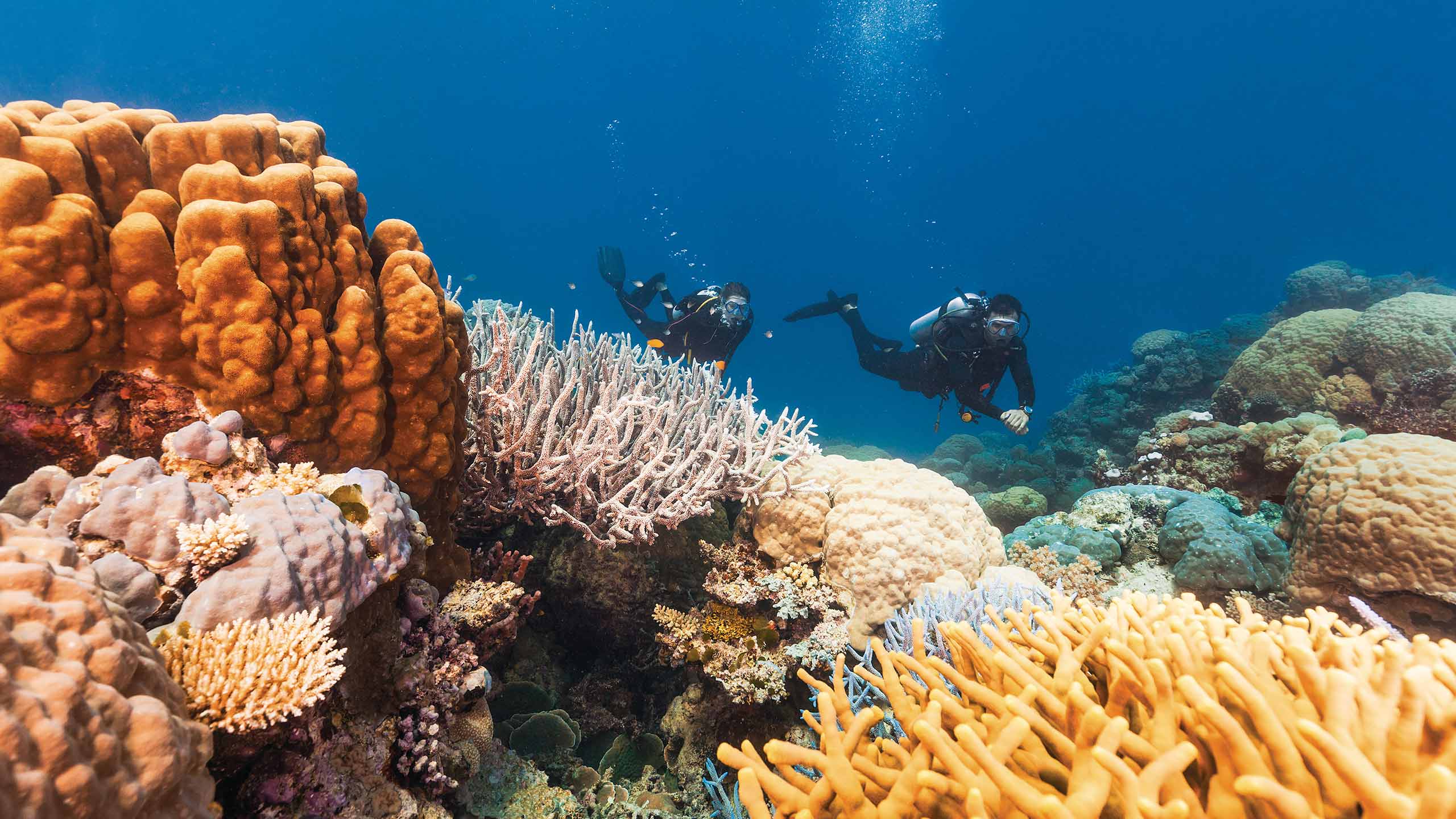 intercontinental-hayman-island-resort-whitsundays-island-queensland-diving