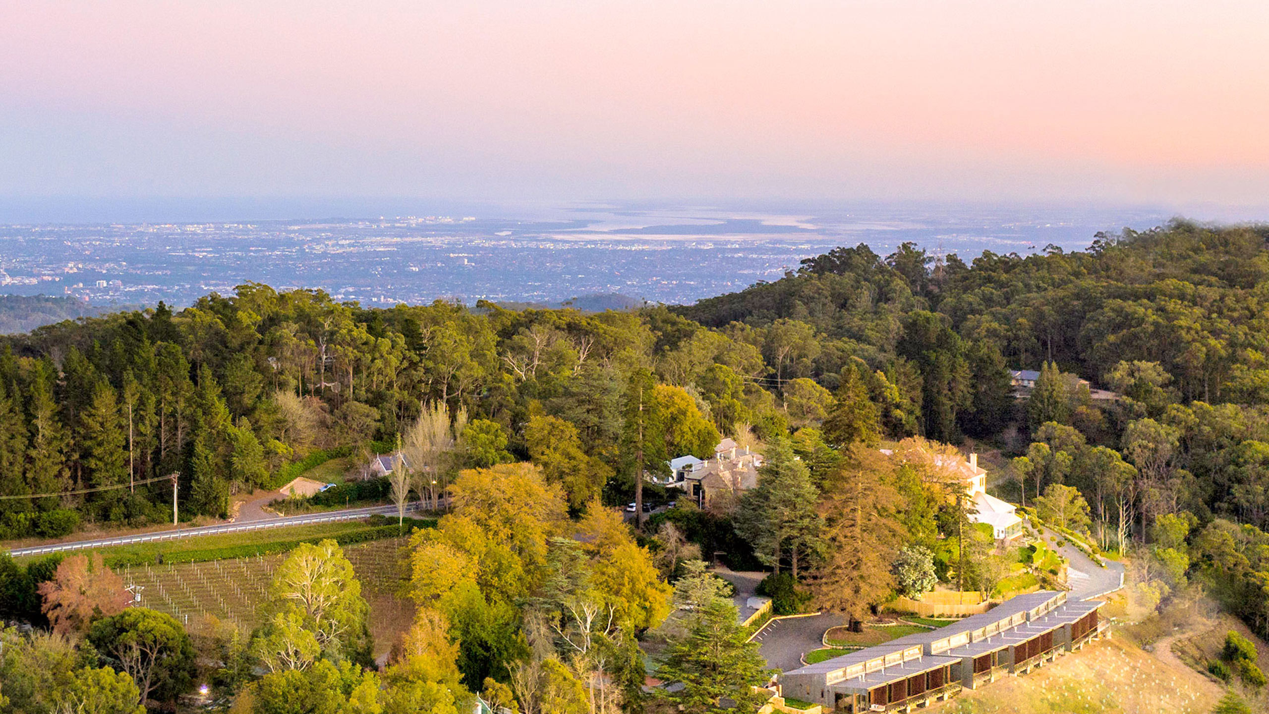 sequoia-adelaide-hills-mt-lofty-australia-serio-lofty-sequoia-landscape