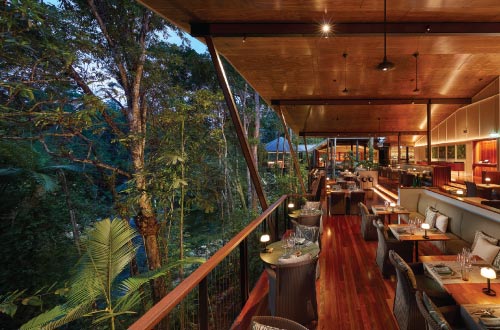Silky-Oaks-Lodge-treehouse-restaurant