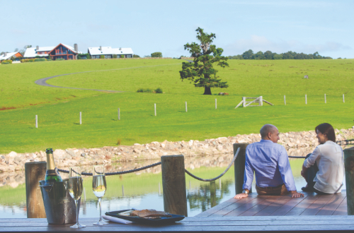 luxury-scenic-rim-walk-lodge-queensland-australia-accommodation-stay-deck-wine-view