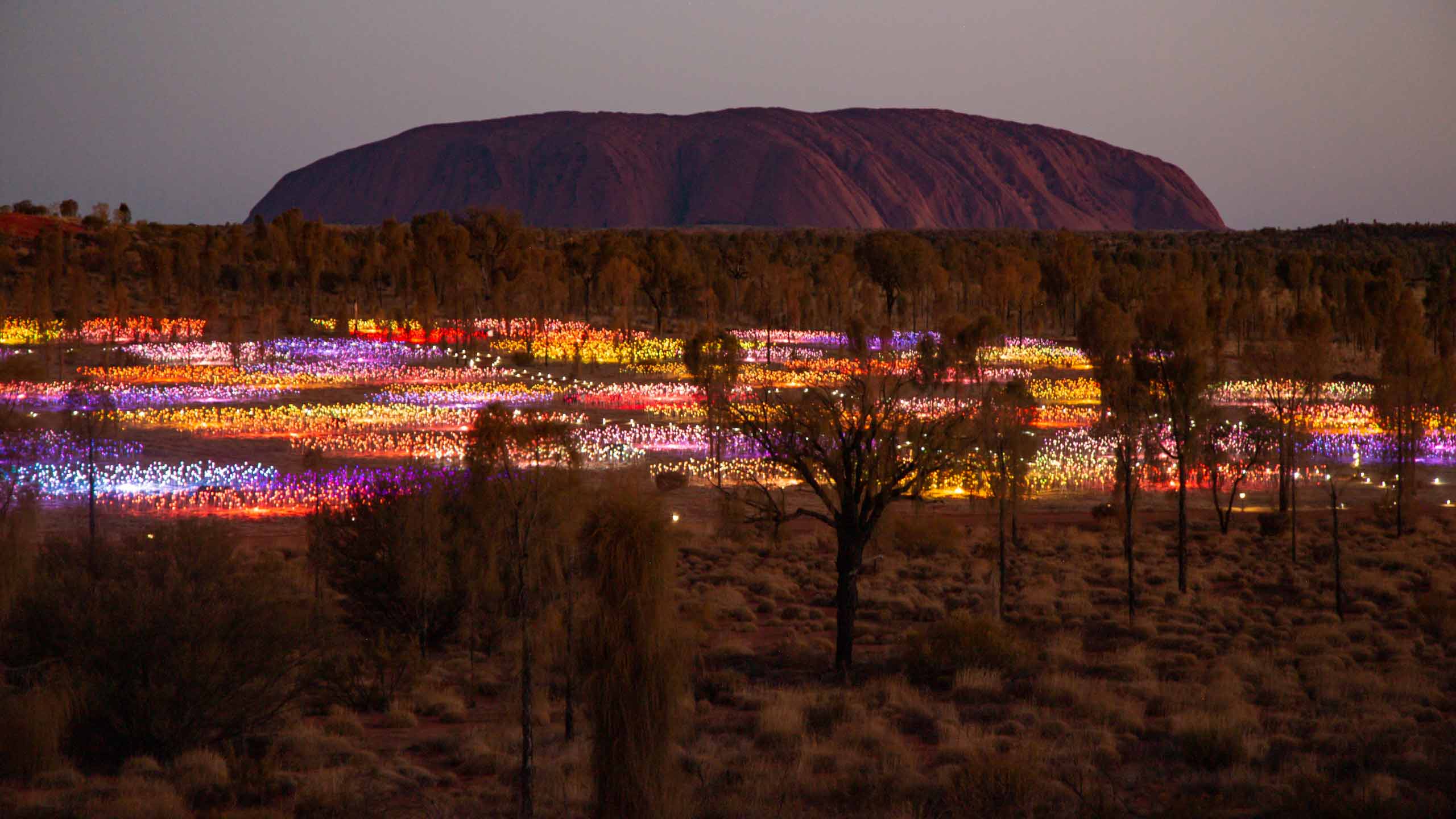 The-Ghan-Uluru-Filed-of-Lights