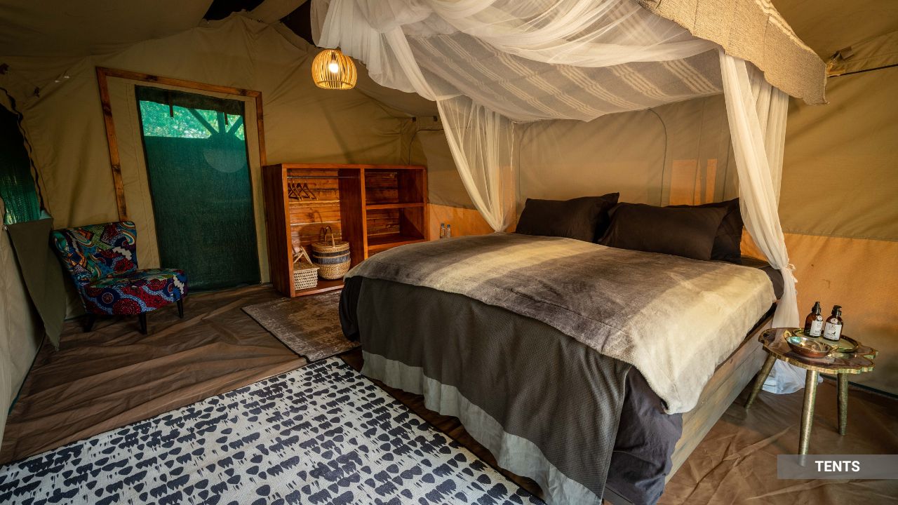shoebill-island-camp-zambia-africa-room-type