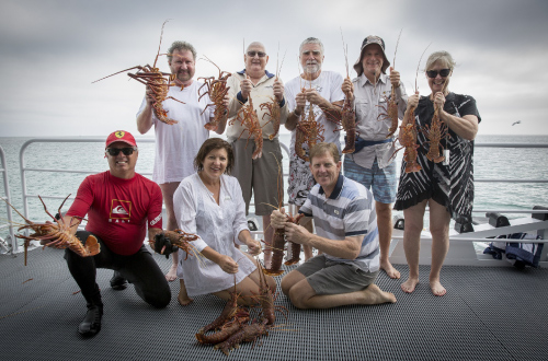 catch-lobster