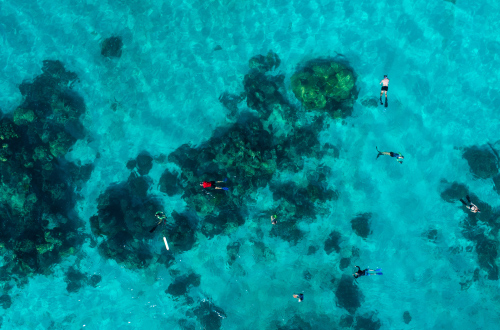 snorkelling
