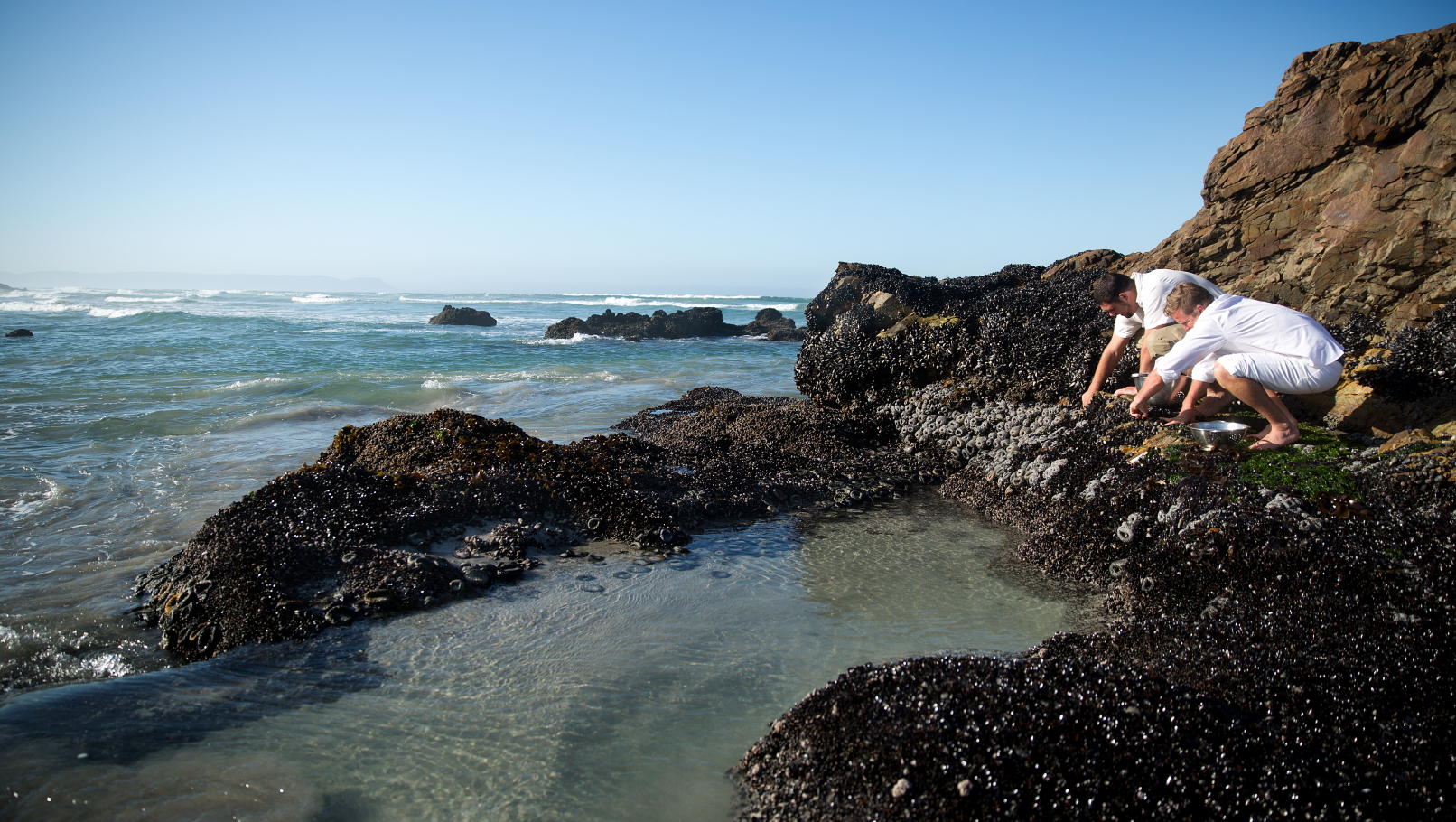 birkenhead-house-hermanus-south-africa-mussel-picking