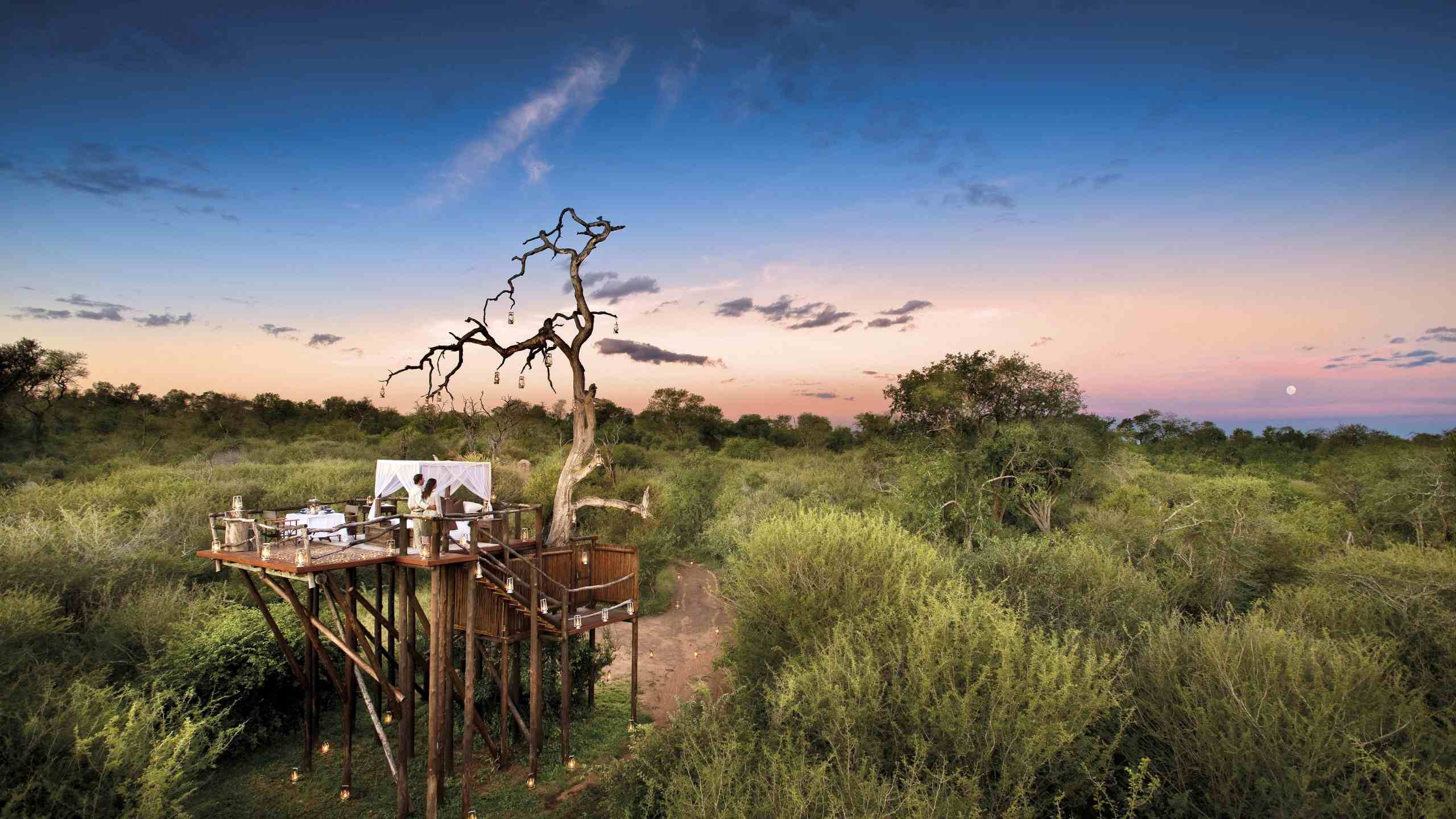 lions-sands-river-lodge-sabi-sands-south-africa-sleep-out-treehouse-safari