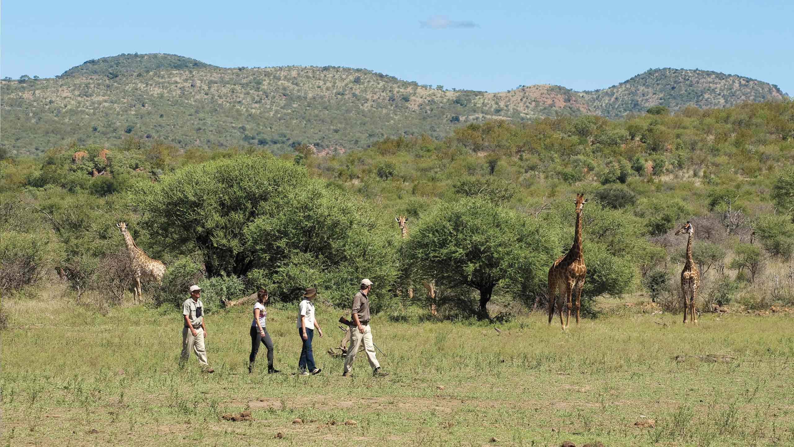 madikwe-safari-lodge-south-africa-explore-experience