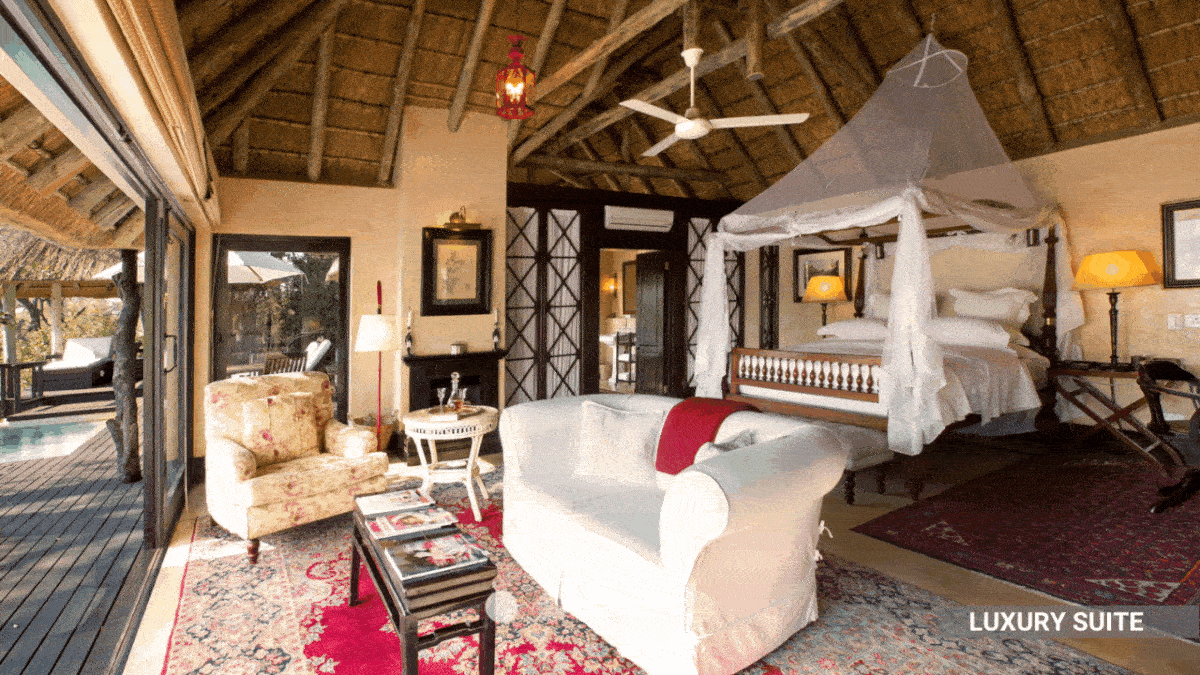royal-malewane-room-types-thornybush-kruger-south-africa