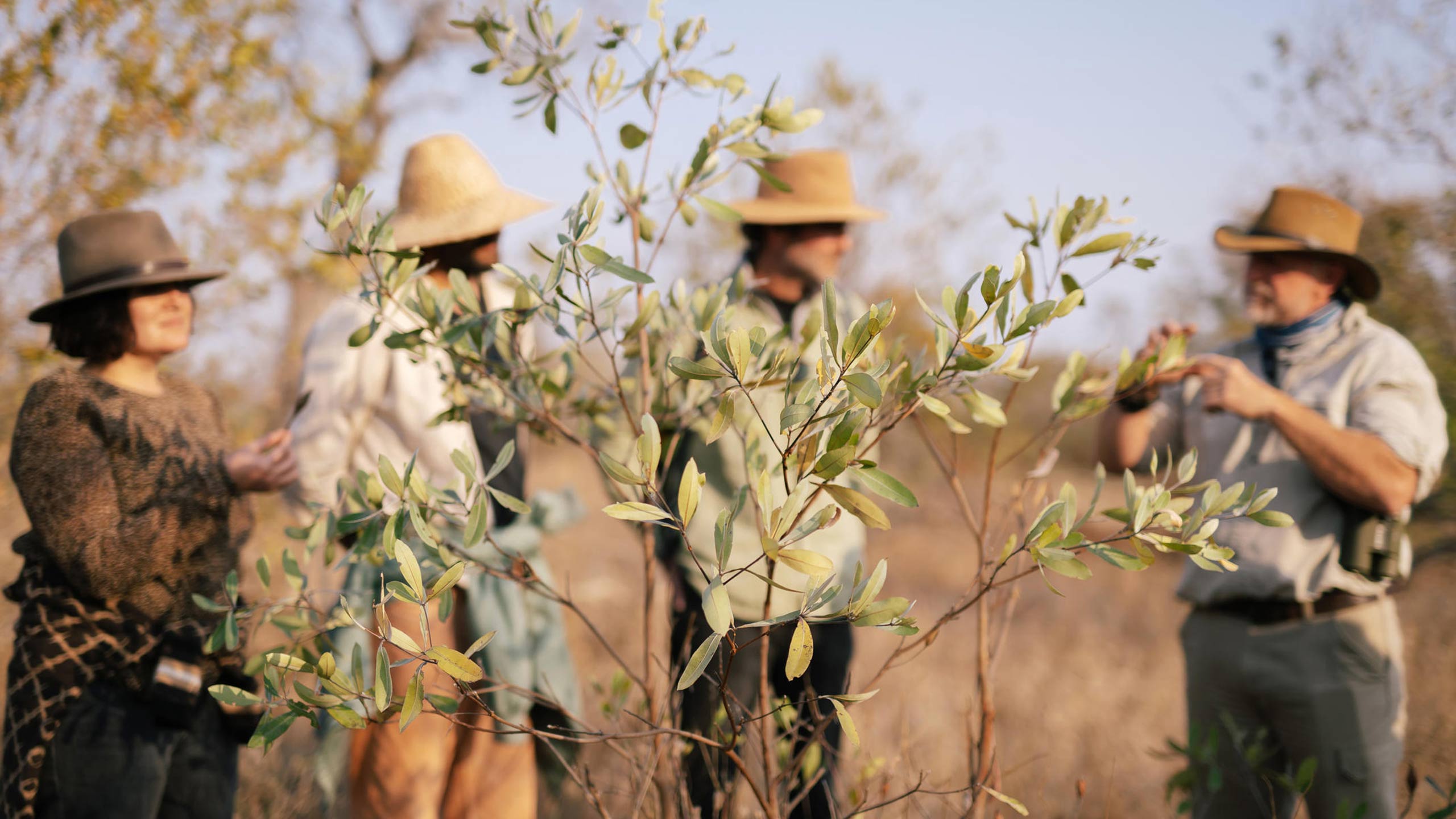 simbavati-trails-camp-south-africa-walking