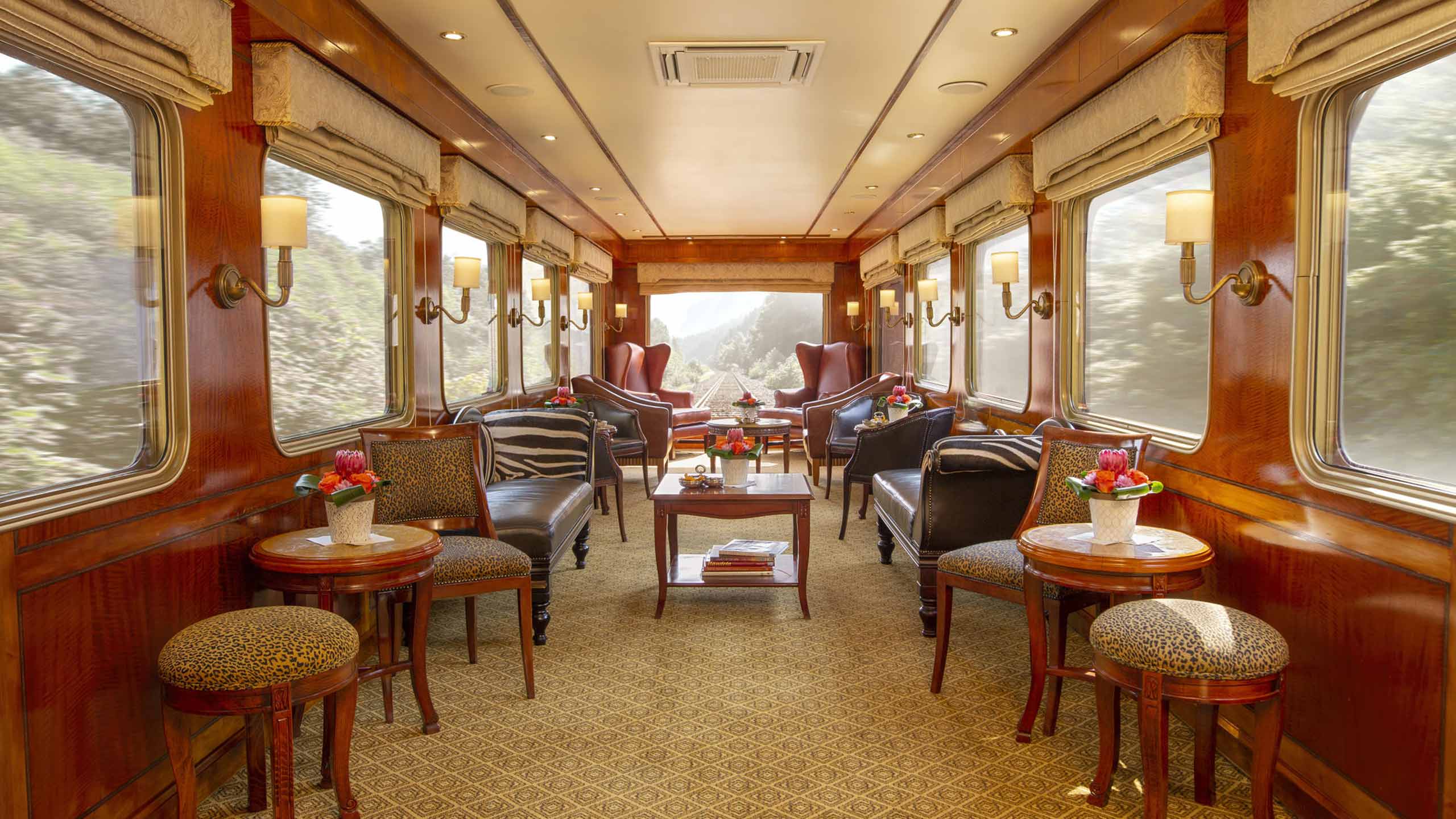 the-blue-train-south-africa-the-observation-car
