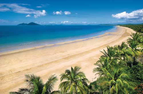 mission-beach-palm-trees-queensland-australia