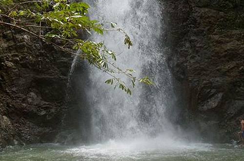 montezuma-falls-tasmania-waterfall