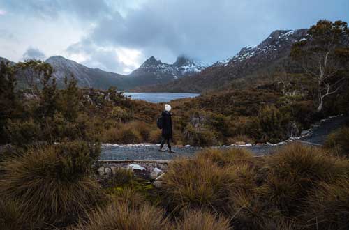 tasmania-australia-walking-lake-dove-circuit