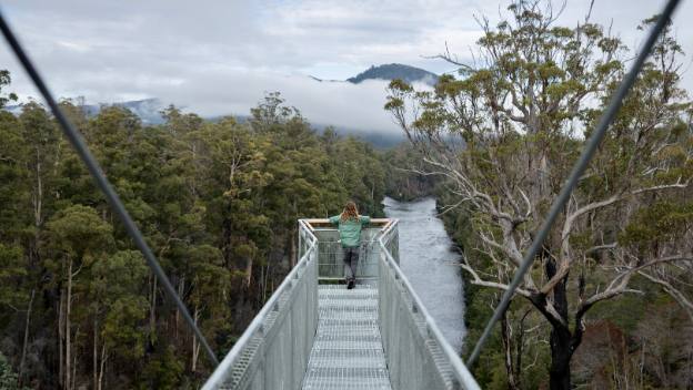 tahune-airwalk-tasmania-australia