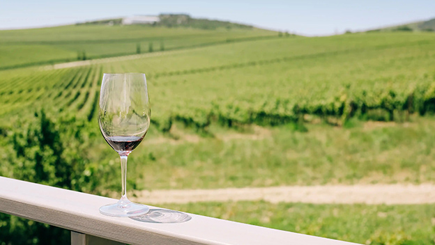 vineyard-wine-tasting-croatia-shutterstock2130448940