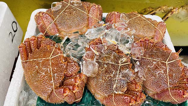 crab-market-in-hokkaido
