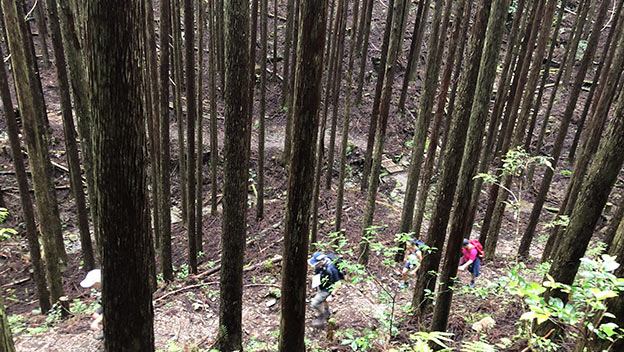 hikers-chikatsuyu-oji-trail-kumano-kodo-wakayama-japan