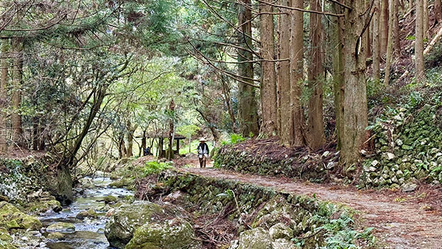 shikoku-henro-pilgrimage-walk-japan