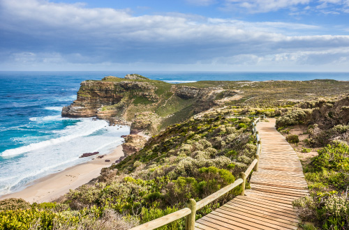 cape-of-good-hope-nature-reserve-cape-town-south-africa