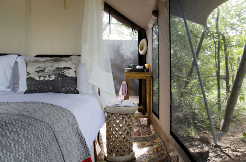 simbavati-trails-camp-timbavati-game-reserve-south-africa-tent-suite