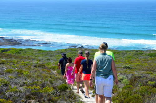 morukuru-beach-lodge-walking