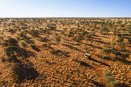 tswalu-kalahari-south-africa-luxury-safari