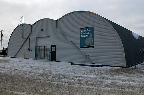 polar-bear-jail-manitoba