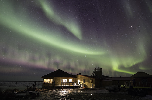 seal-river-heritage-lodge-northern-lights