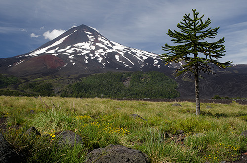 llaima-volcano-conguillio-national-park-araucania-chile-shutterstock1359948284